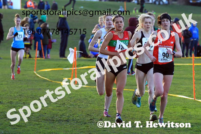 Senior womens 2022 Northern Cross Country Champs., Pontefract. Photo: David T. Hewitson/Sports for All Pics